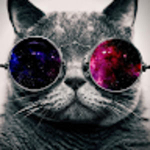 Meet your Posher, Cheese